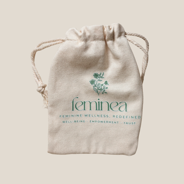 Reusable Menstrual Disc